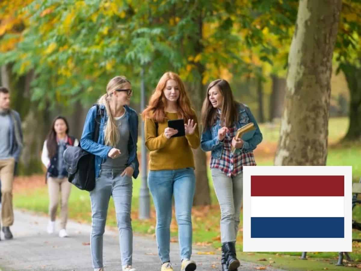 记忆教育 Study in Netherlands